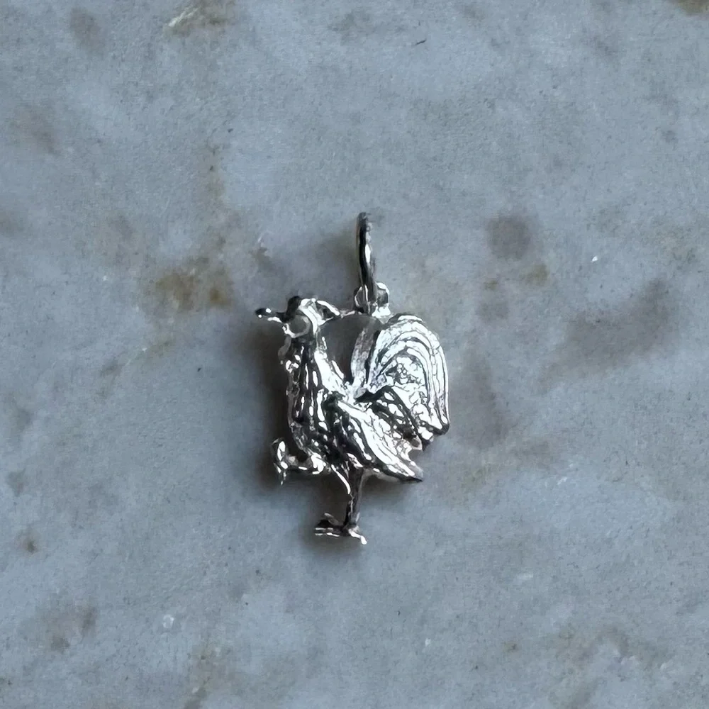 NWOT Sundance Good Morning Pendant, Sterling Silver